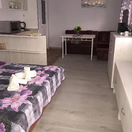 Apartment Comfy Studio By The Flower Market Varna